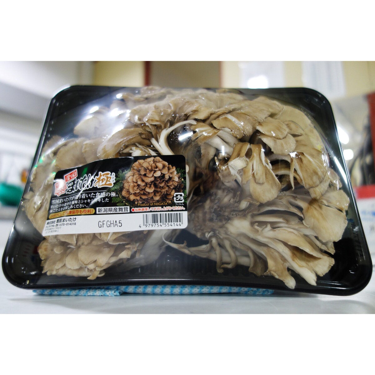 まいたけ500ｇ
