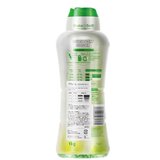 arFUM アフューム 香り付け専用ビーズ ジンジャーフラワー ライラックとホワイトムスクの香り 1kg