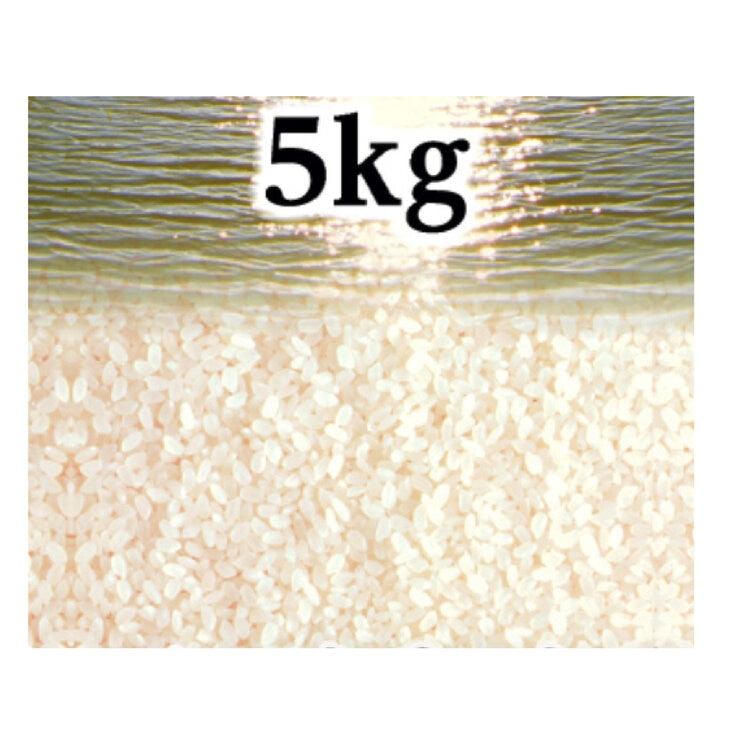 カリフォルニア産 カルローズ米 大地の力 5kg