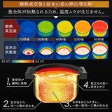 アイリスオーヤマ IHジャー炊飯器5.5合(瞬熱真空釜) RC-IF50-B