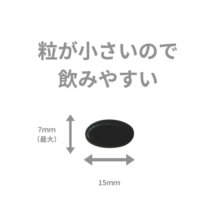 黒セサミン 20mg 90粒 黒セサミン 20mg 90粒