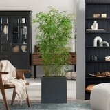 CG HUNTER 人工観葉植物 青竹 ルームディバイダー 約198cm