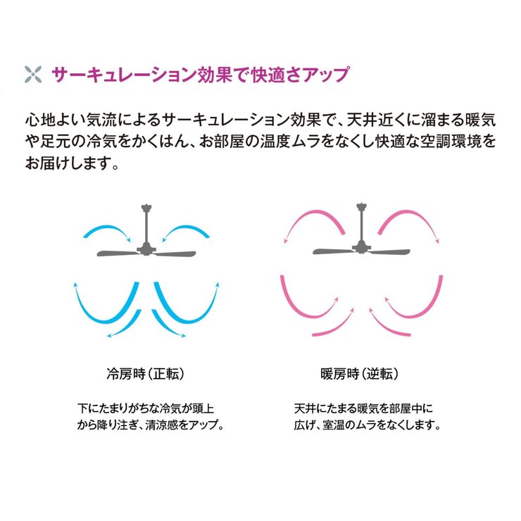 大光電機 シーリングファン ASN-009W