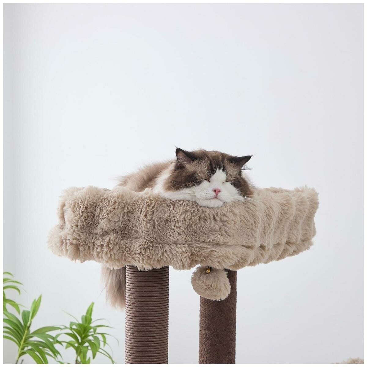 CATRY SWANSON キャットツリー