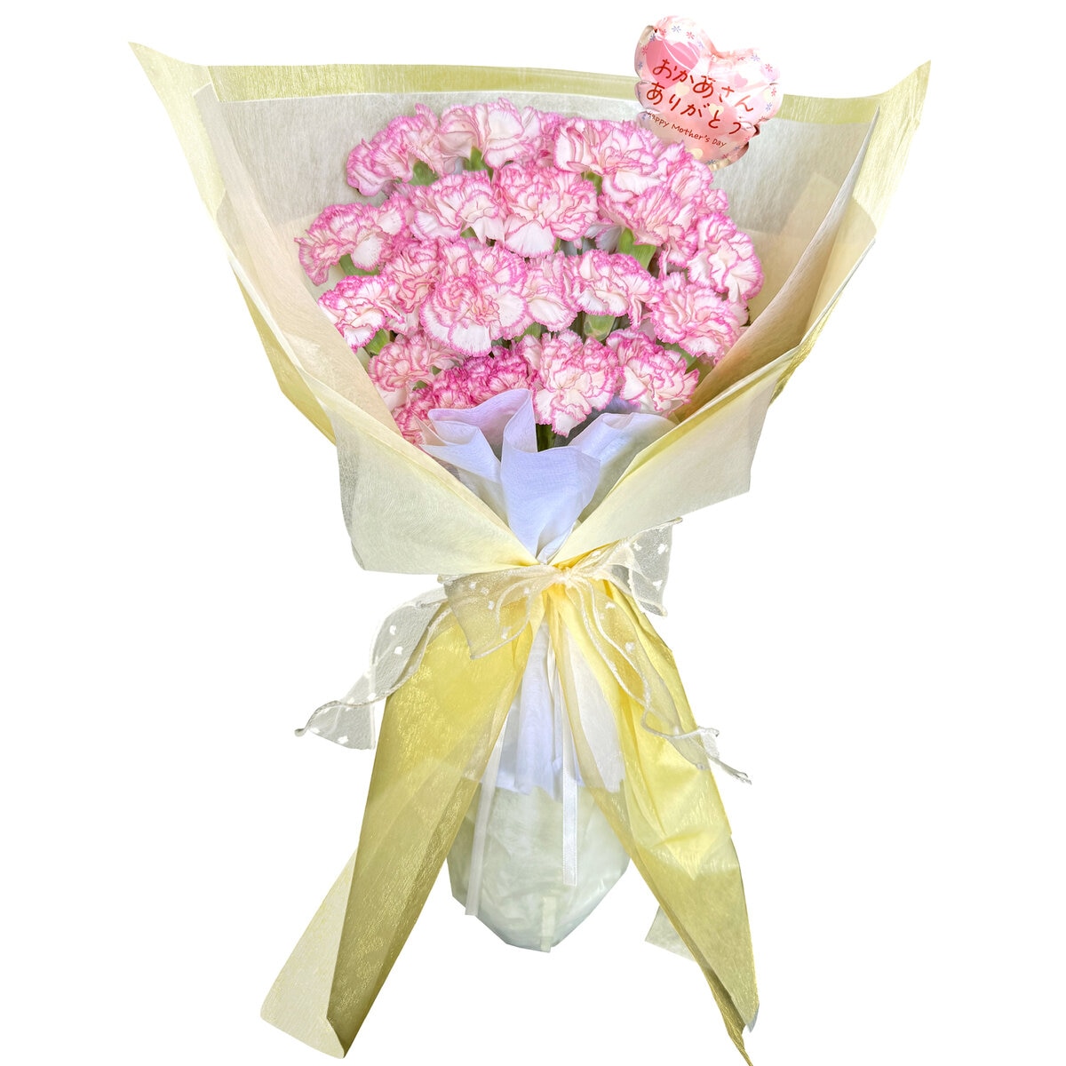 カーネーションの花束 24本 複色/ピンク白 母の日期間配送 お届け日5月5日～5月10日