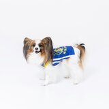 NBA Golden State Warriors ジャージ
