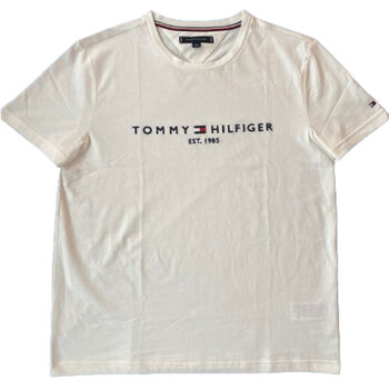 トミー ヒルフィガー メンズ 半袖 Tシャツ