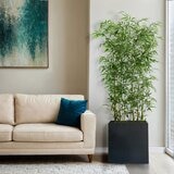 CG HUNTER 人工観葉植物 青竹 ルームディバイダー 約198cm