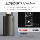 シャープ スピーカー ランタン DL-FS01L