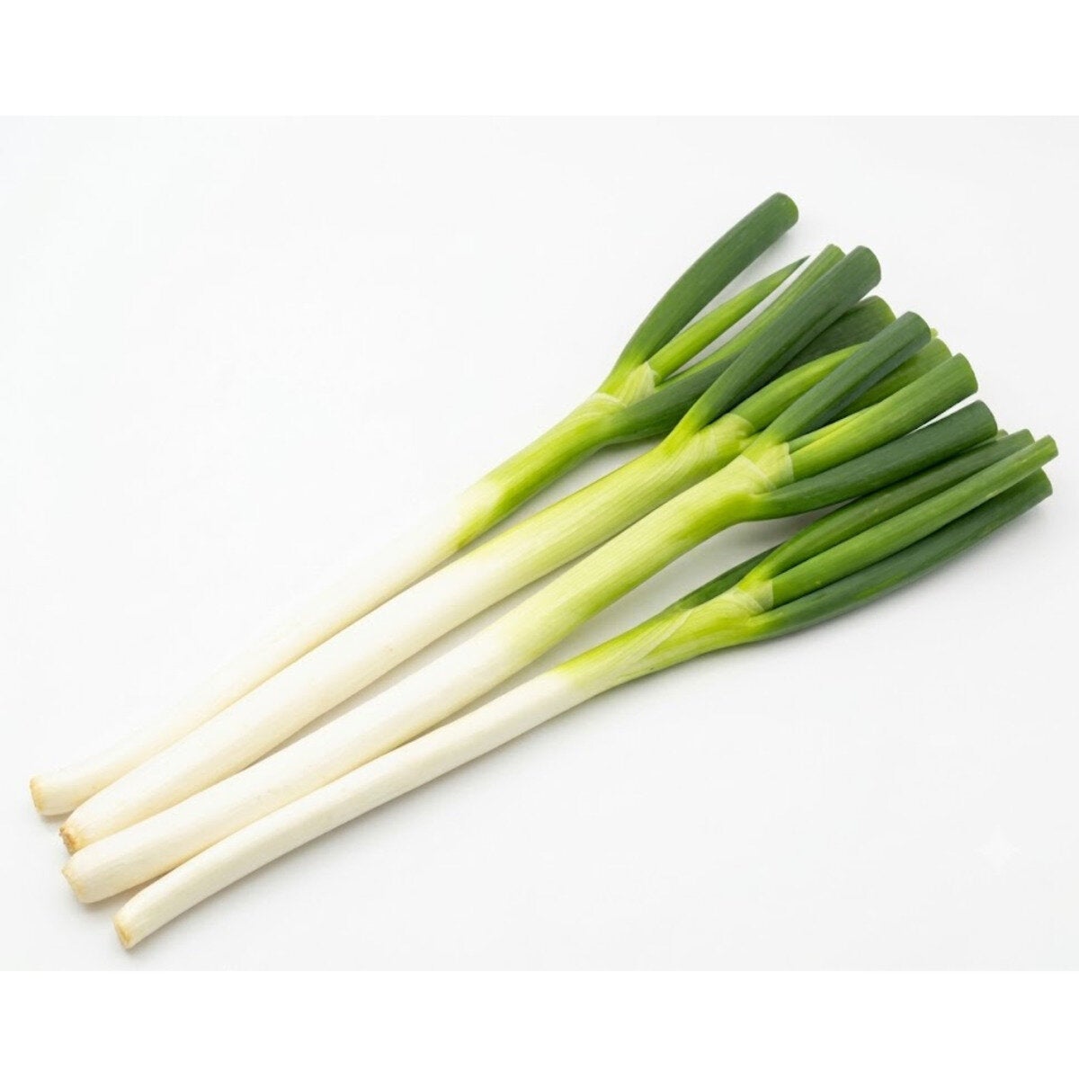 白ねぎ800ｇ