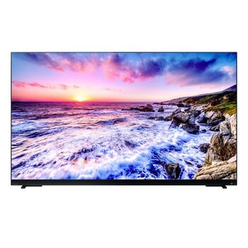 東芝 レグザ 65インチ 4K 量子ドット ミニLED 液晶テレビ 65Z875L
