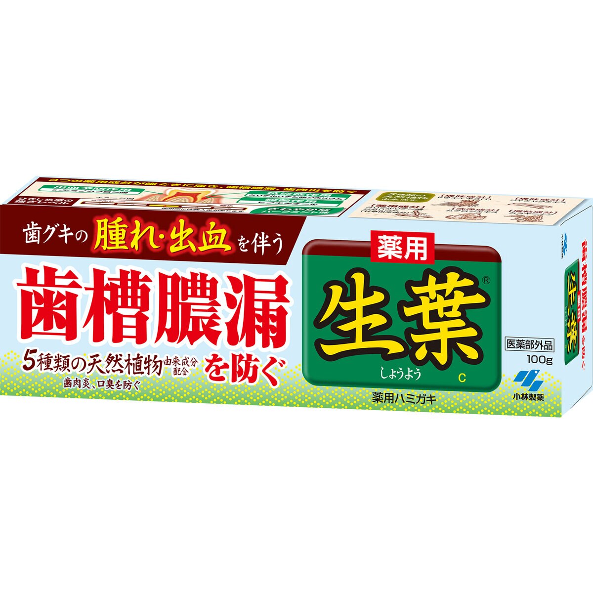 薬用 生葉ｃ歯磨き粉 100ｇ