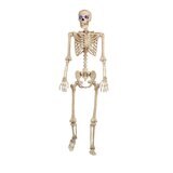 ハロウィン スケルトン