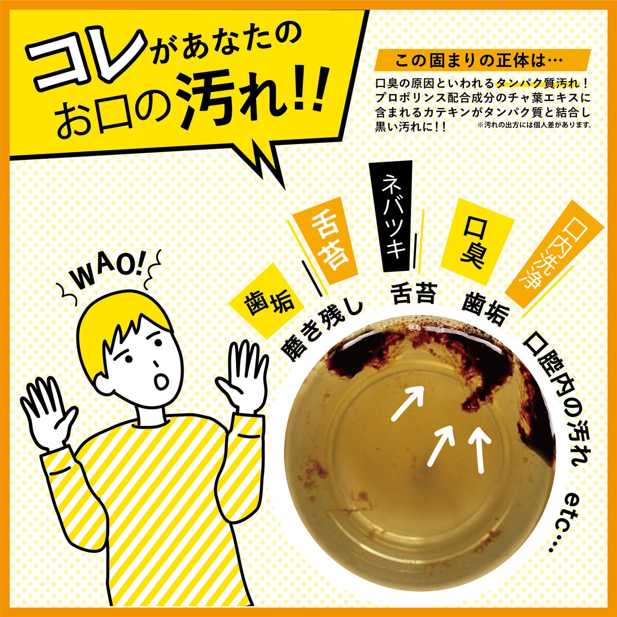 プロポリンス 汚れが見える マウスウォッシュ 1L x 3本セット