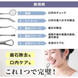 THE歯石取りデンタルツール 5点セット