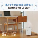 象印 スチーム式加湿器 3.0L EE-RU50