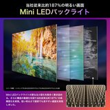 ハイセンス 65インチ MiniLED×量子ドット 4K液晶テレビ 65U9N ハイセンス 65インチ MiniLED×量子ドット 4K液晶テレビ 65U9N
