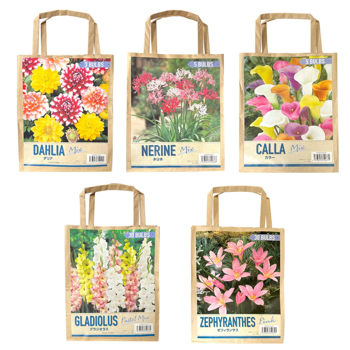 春植え球根 各種 春植え球根 各種