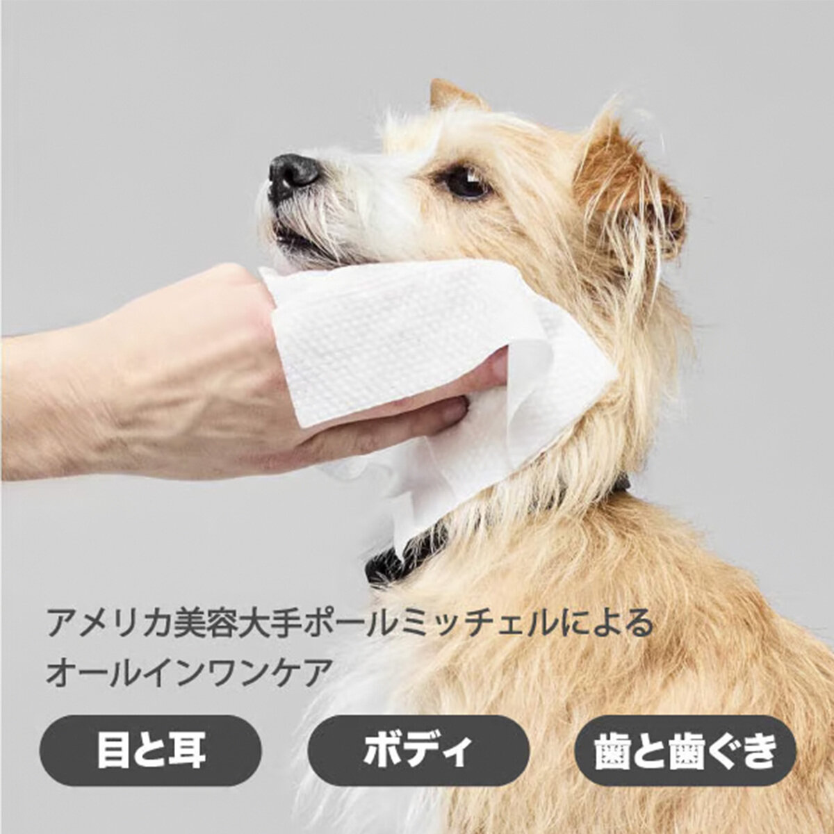 PAUL MITCHELL Pet 目と耳とボディと歯のウェットシート