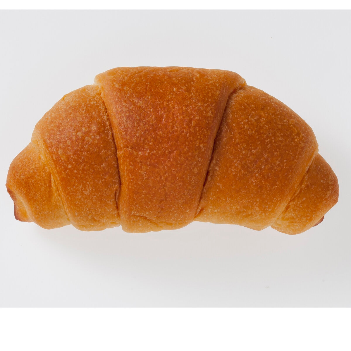 コモ ロングライフパン クロワッサンスティクショコラ 16個入り