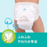 パンパース さらさらケアパンツ Mサイズ (6-12kg) 222枚 (74枚ｘ3パック)