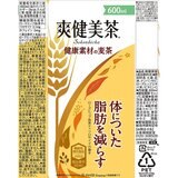 爽健美茶 健康素材の麦茶 600ml x 24本 x 2ケース ペットボトル