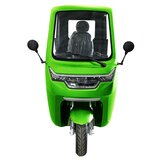 ビークルファン EV トゥクトゥク シングルバッテリー グリーン