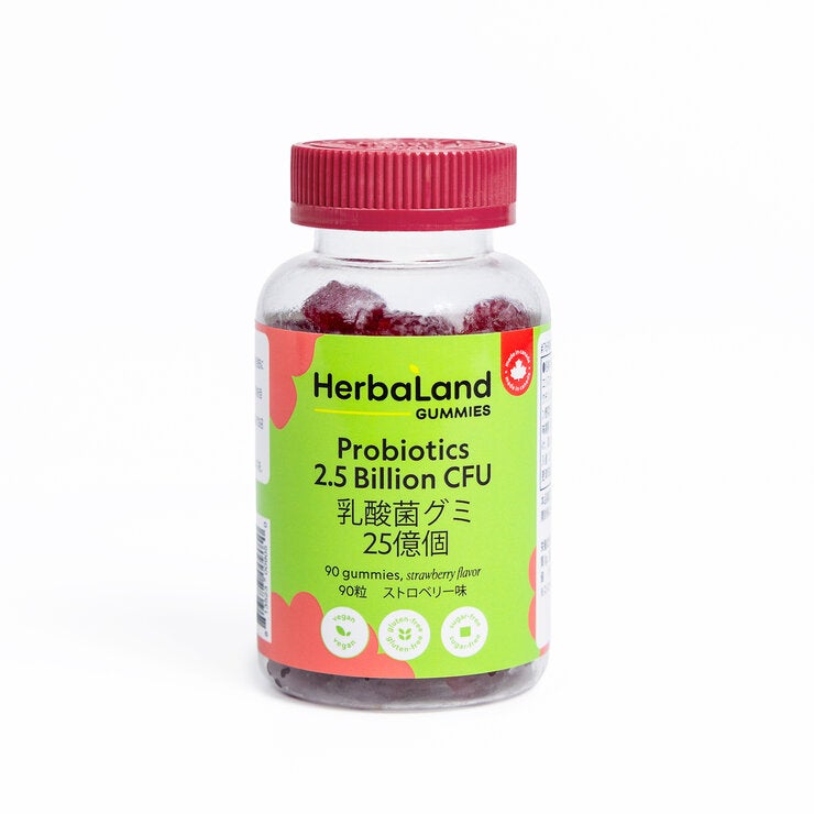 HERBALAND 乳酸菌グミ 90粒入 HERBALAND 乳酸菌グミ 90粒入