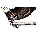本間ゴルフ ロイヤルスター ゴルフクラブセット キャディーバッグ付き Flex SR