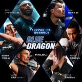 HALEO プロテインドリンク ストロベリーミルク風味 200ml x 24本
