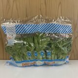 フリルレタス 500g