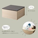 ゼンキューブ 畳ボックス ホワイト x ダークグレー ZCM-3060BX-WH-DG