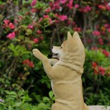 ウービア 手をあげる柴犬の置物H21048