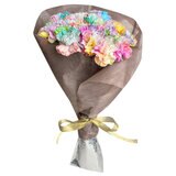 レインボーカーネーションの花束 24本 母の日期間配送 お届け日5月6日～5月11日
