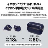 AVIOT 完全ワイヤレスイヤホン TE-BD11tR ドーンブルー