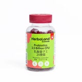 HERBALAND 乳酸菌グミ 90粒入 HERBALAND 乳酸菌グミ 90粒入