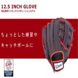 野球グローブ 軟式 一般 右投用 オールラウンド 12.5インチ 埼玉西武ライオンズ