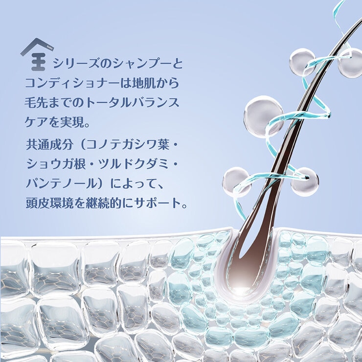 Seika 全 シャンプー & コンディショナー セット 400ml x 2 | Costco Japan