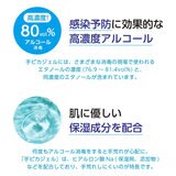 ケンエー 手ピカジェルPRO 500ml x 2 ケンエー 手ピカジェルPRO 500ml x 2