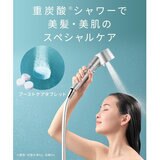 SALONIA（サロニア）ブーストケアタブレット 12錠入り
