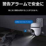 TP-Link (ティーピーリンク) tapo パンチルト屋外用カメラ TC42