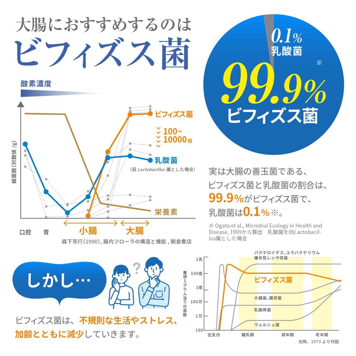 森永ビヒダス 30日分 ビフィズス菌 BB536 ＜機能性表示食品＞