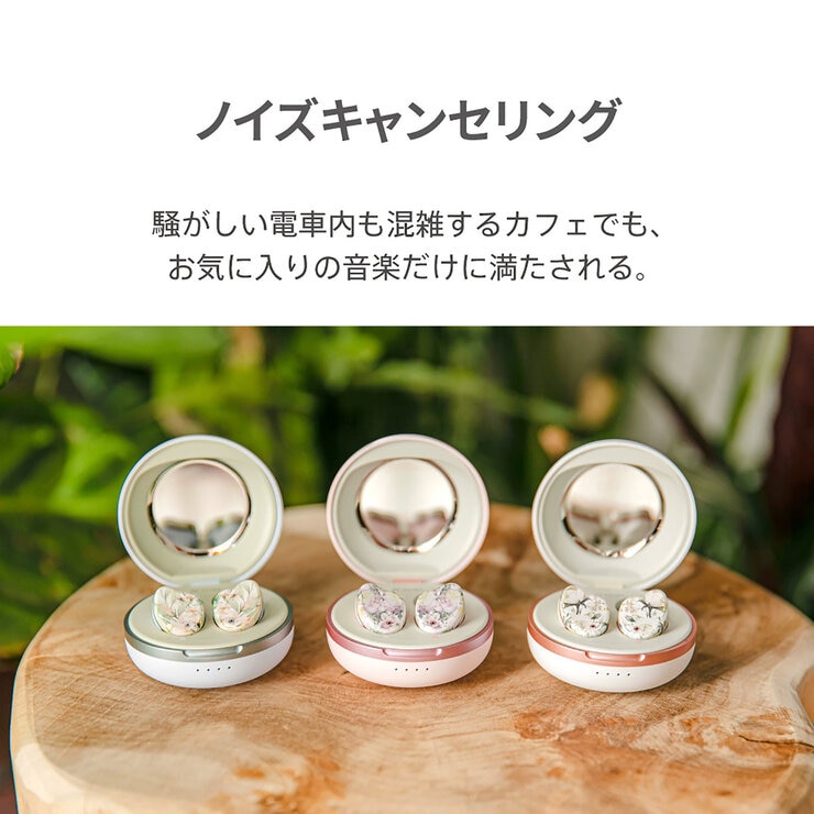 AVIOT 完全ワイヤレスイヤホン TE-D01I2