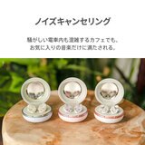 AVIOT 完全ワイヤレスイヤホン TE-D01I2