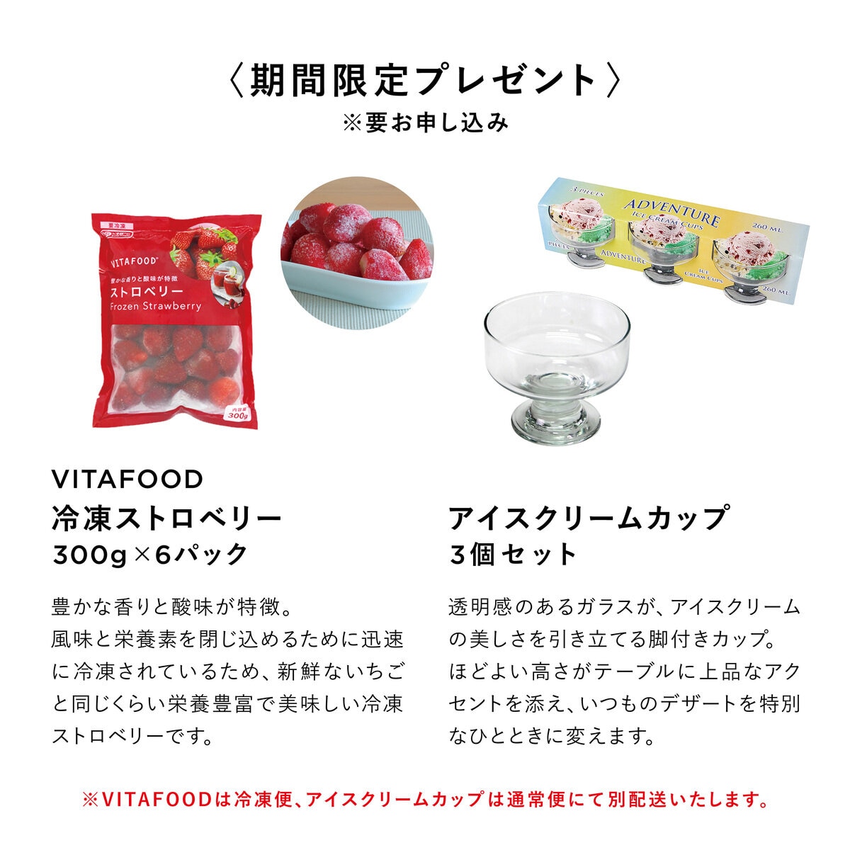 バイタミックス E520 Explorian Blender バイタミックス E520 Explorian Blender