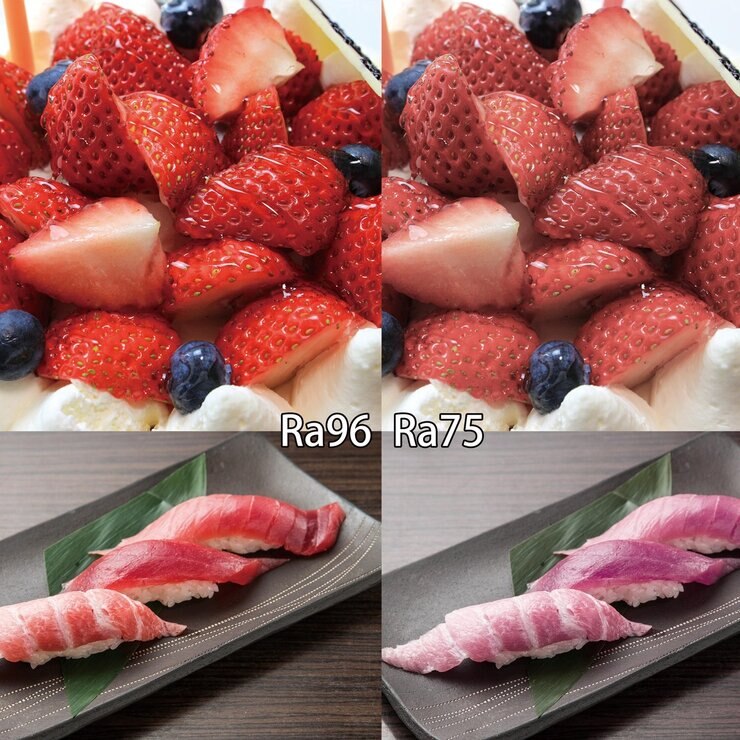 tollight PRO 充電式高演色LEDライト Ra96 800ルーメン スマホ ホルダー付 TL800-96-SH tollight PRO 充電式高演色LEDライト Ra96 800ルーメン スマホ ホルダー付 TL800-96-SH