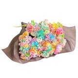 レインボーカーネーションの花束 24本 母の日期間配送 お届け日5月6日～5月11日