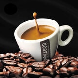 MOKADOR 100%ARABICA ネスプレッソ互換カプセル 100カプセル入