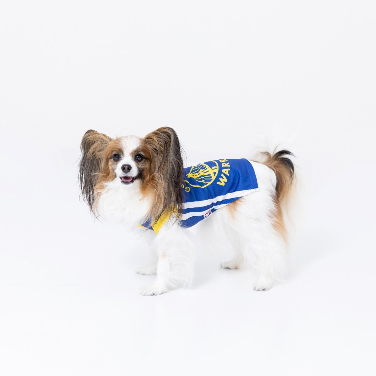 NBA Golden State Warriors ジャージ