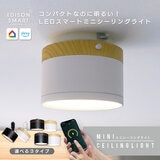 Edison Smart（エジソンスマート）ウッド調 ミニシーリングライト 引掛けシーリング ナチュラルホワイト